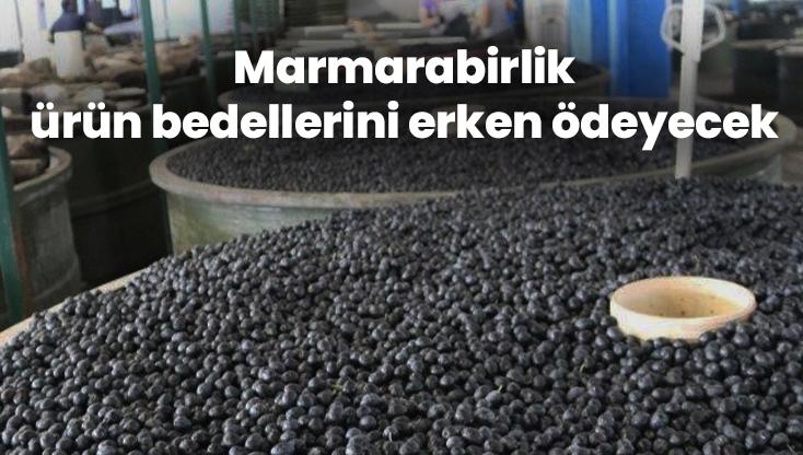 Marmarabirlik Ürün Bedellerini Erken Ödeyecek