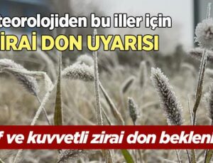 Meteorolojiden Bu Iller Için Zirai Don Uyarısı