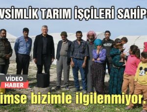 Mevsimlik Tarım Işçileri Sahipsiz: “Kimse Bizimle Ilgilenmiyor…”