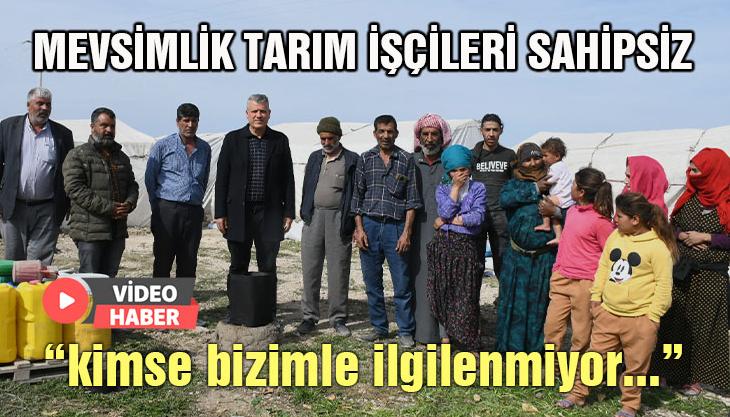 Mevsimlik Tarım Işçileri Sahipsiz: “Kimse Bizimle Ilgilenmiyor…”