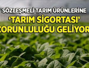 Sözleşmeli Tarım Ürünlerine Tarım Sigortası Zorunluluğu Geliyor