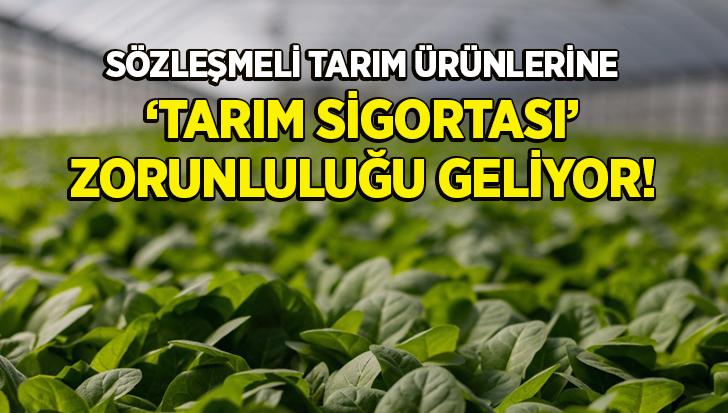 Sözleşmeli Tarım Ürünlerine Tarım Sigortası Zorunluluğu Geliyor