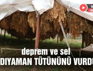 Deprem Ve Sel Adıyaman Tütününü De Vurdu