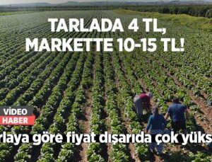 Tarlada 4 TL, markette 10-15 TL!