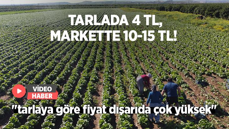 Tarlada 4 Tl, Markette 10-15 Tl!