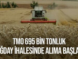 Tmo 695 Bin Tonluk Buğday Ihalesinde Alıma Başladı