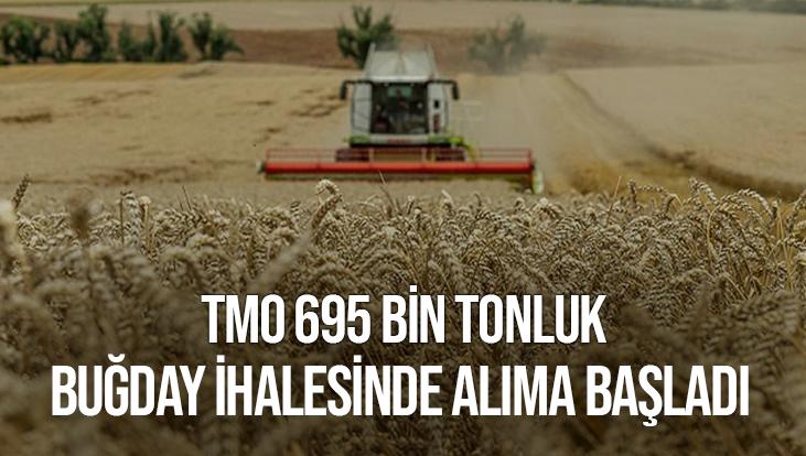 Tmo 695 Bin Tonluk Buğday Ihalesinde Alıma Başladı