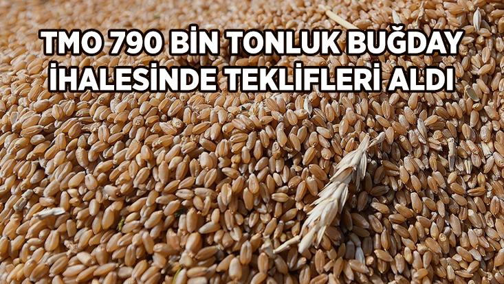 Tmo 790 Bin Tonluk Buğday Ihalesinde Teklifleri Aldı