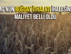 Tmo’Nun Buğday Ithalatı Ihalesinde Maliyet Belli Oldu