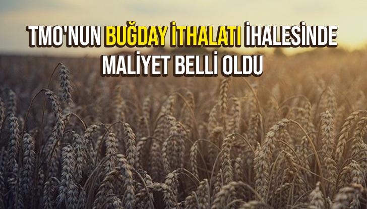 Tmo’Nun Buğday Ithalatı Ihalesinde Maliyet Belli Oldu