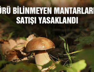 Türü Bilinmeyen Mantarların Satışı Yasaklandı