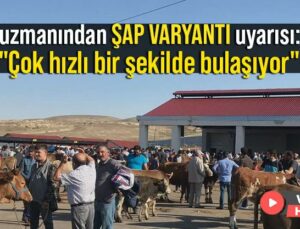 Uzmanından Şap Varyantı Uyarısı: “Çok Hızlı Bir Şekilde Bulaşıyor”