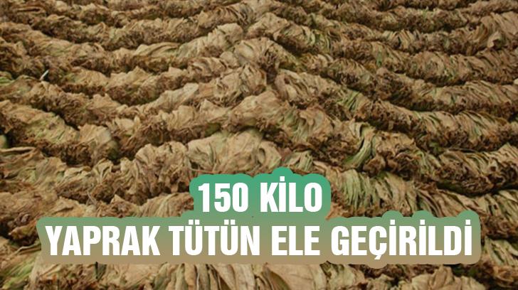 150 Kilo Yaprak Tütün Ele Geçirildi