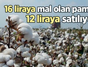 16 Liraya Mal Olan Pamuk 12 Liraya Satılıyor