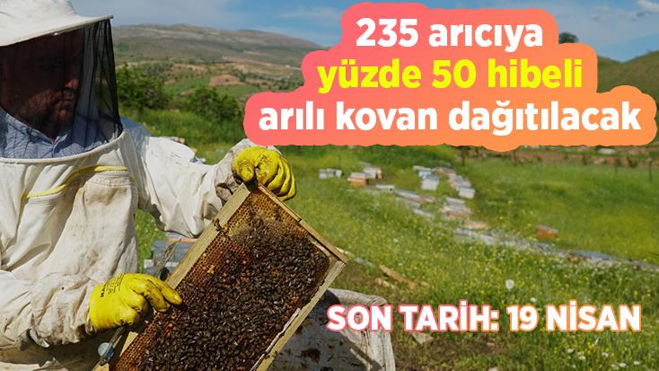 235 Arıcıya Yüzde 50 Hibeli Arılı Kovan Dağıtılacak