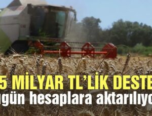 5,5 Milyar Tl Tarımsal Destekleme Ödemesi Bugün Hesaplara Aktarılıyor