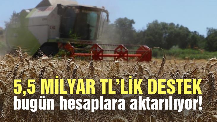 5,5 Milyar Tl Tarımsal Destekleme Ödemesi Bugün Hesaplara Aktarılıyor