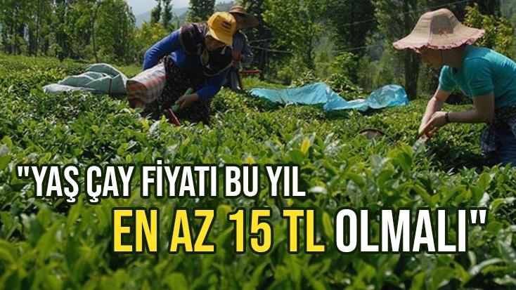 “Yaş Çay Fiyatı Bu Yıl En Az 15 Tl Olmalı”