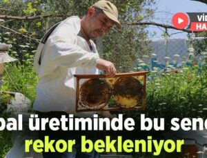 Bal Üretiminde Bu Sene Rekor Bekleniyor