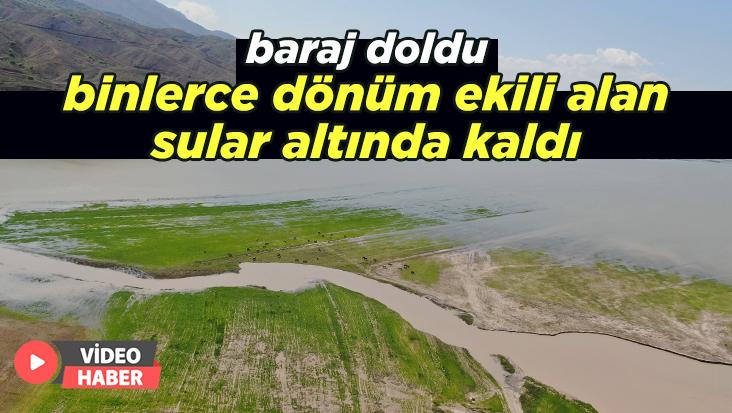 Baraj Doldu, Binlerce Dönüm Ekili Alan Sular Altında Kaldı