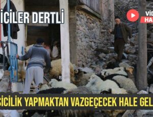 Besiciler Dertli: Besicilik Yapmaktan Vazgeçecek Hale Geldik