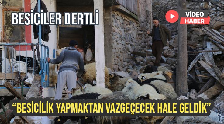 Besiciler Dertli: Besicilik Yapmaktan Vazgeçecek Hale Geldik