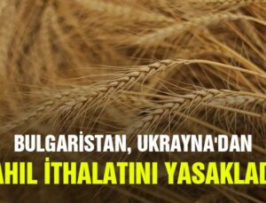 Bulgaristan, Ukrayna’Dan Tahıl Ithalatını Yasakladı