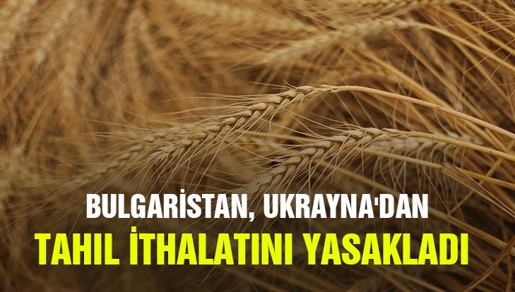 Bulgaristan, Ukrayna’Dan Tahıl Ithalatını Yasakladı