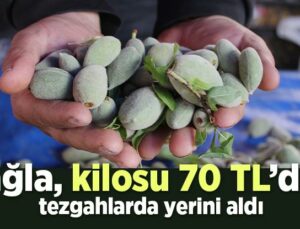 Çağla Kilosu 70 Tl’den Tezgahlarda Yerini Aldı