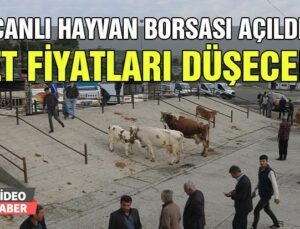 Canlı Hayvan Borsası Açıldı, Et Fiyatları Düşecek