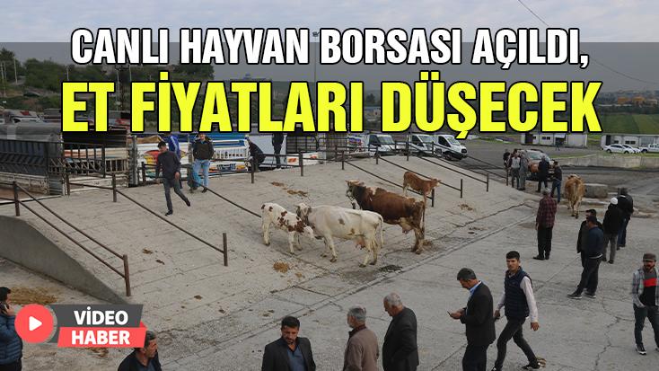 Canlı Hayvan Borsası Açıldı, Et Fiyatları Düşecek