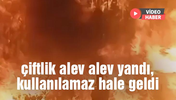 Çiftlik Alev Alev Yandı, Kullanılamaz Hale Geldi