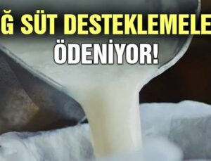 Çiğ Süt Desteklemeleri Ödeniyor!