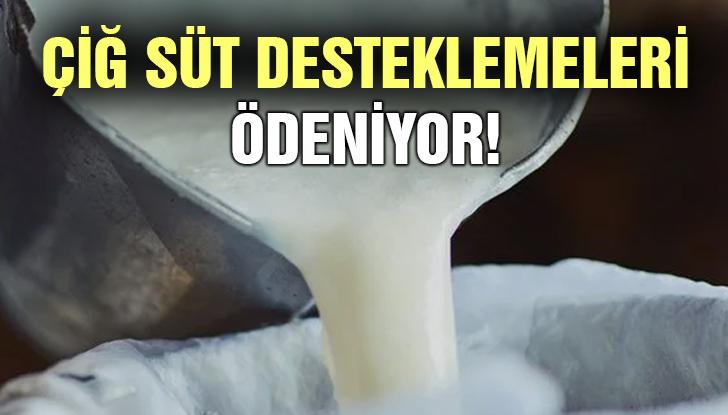 Çiğ Süt Desteklemeleri Ödeniyor!