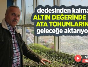 Dedesinden Kalma Altın Değerindeki Ata Tohumlarını Geleceğe Aktarıyor