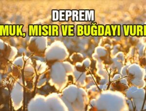 Deprem Pamuk, Mısır Ve Buğdayı Vurdu