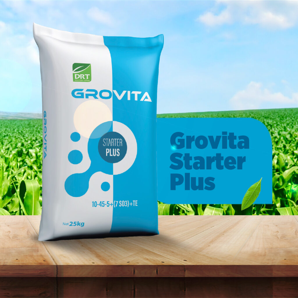 drt grovita post2 1