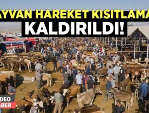 Hayvan Hareket Kısıtlaması Kaldırıldı