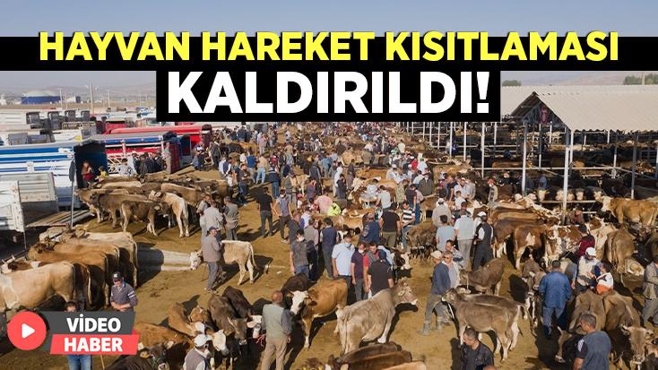 Hayvan Hareket Kısıtlaması Kaldırıldı