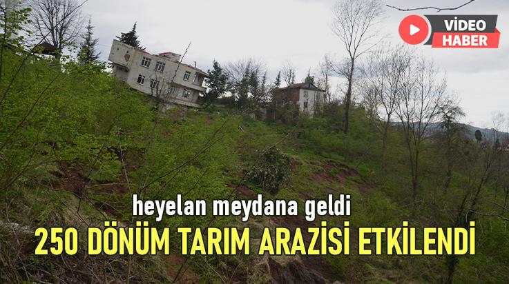 Heyelan Meydana Geldi 250 Dönüm Tarım Arazisi Etkilendi