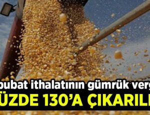 Hububat Ithalatının Gümrük Vergisi Yüzde 130’A Çıkarıldı