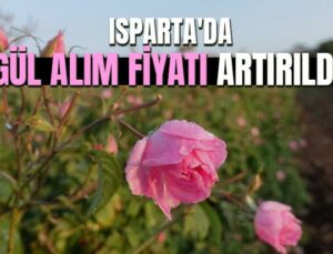 Isparta’Da Gül Çiçeği Alım Fiyatı Artırıldı