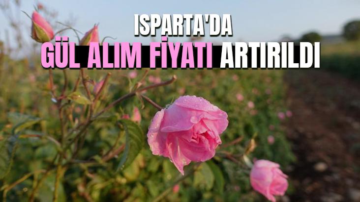 Isparta’Da Gül Çiçeği Alım Fiyatı Artırıldı