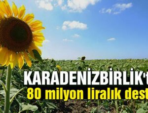 Karadeni̇zbi̇rli̇k’Ten Üreticiye 80 Milyon Liralık Destek