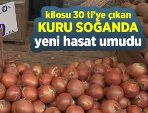 Kilosu 30 Tl’ye Çıkan Kuru Soğanda Yeni Hasat Umudu