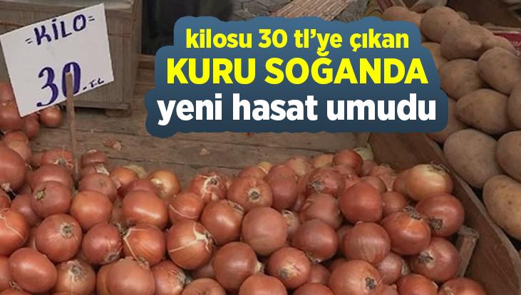 Kilosu 30 Tl’ye Çıkan Kuru Soğanda Yeni Hasat Umudu