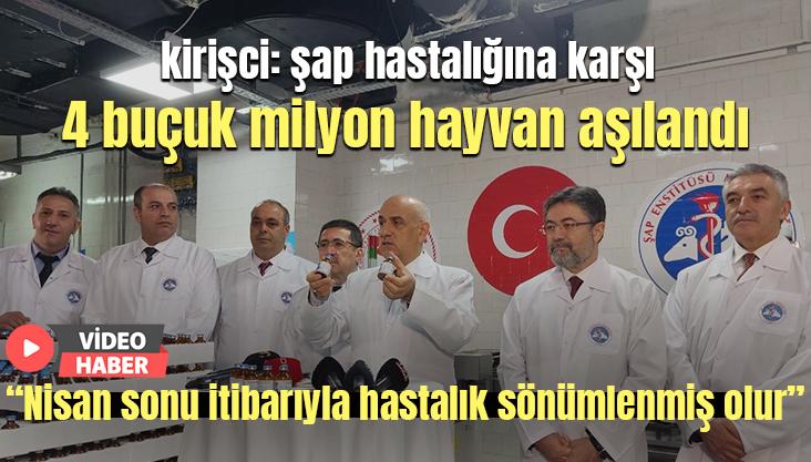 Kirişci: Şap Hastalığına Karşı 4 Buçuk Milyon Hayvan Aşılandı