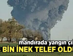 Mandırada Yangın Çıktı: 18 Bin Inek Telef Oldu