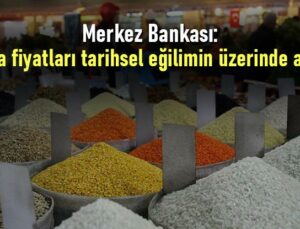 Merkez Bankası: “Gıda Fiyatları Tarihsel Eğilimin Üzerinde Arttı”