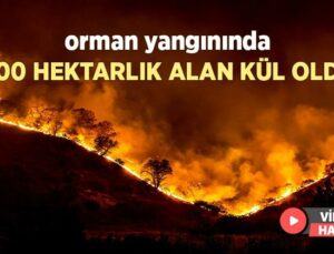 Orman Yangınında 400 Hektarlık Alan Kül Oldu